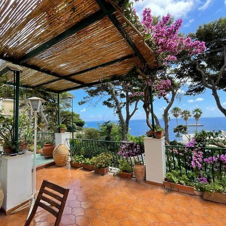 Terrazza Mare Marina Piccola Apartment Капри Екстериор снимка